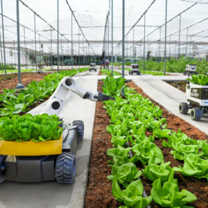 Agriculture and Food Processing